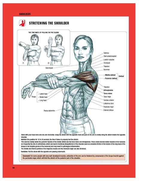 strength training anatomy frederic delavier notodoanimaciones