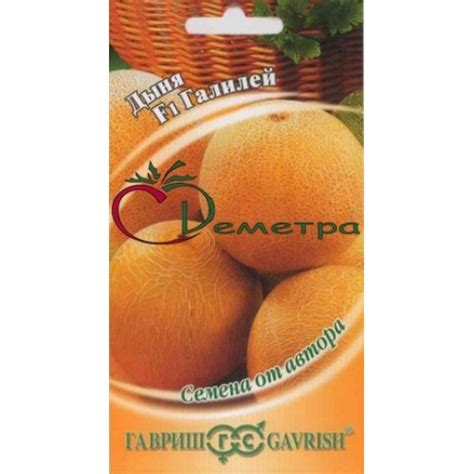 Дыня Галилей