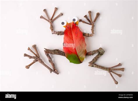 craft frog made from natural materials by hand on white background ...