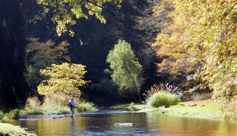 Diy Guide To Fly Fishing Fishing Creek In Northeast Pennsylvania Diy