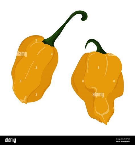 Hot Mexican Pepper Stock Vector Image And Art Alamy