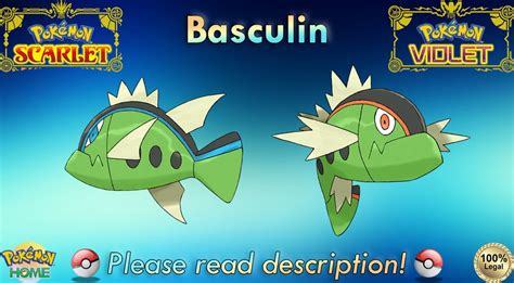 Shiny/non-shiny Basculin Red/blue Form 6IV Pokémon - Etsy