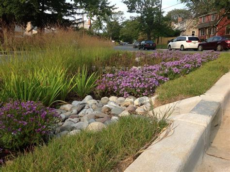 Rain Gardens Contro Gli Allagamenti Della Bousquet Alghero News