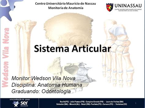 Sistema Articular SLIDE Anatomia Prática YouTube