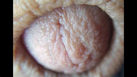 My Cock Gay Amateur Amateur Porn XHamster