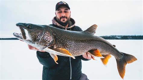 Incredible Multi Species Ice Fishing Viking Lodge Manitoba Youtube