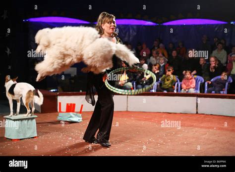 Circus Dog Hi Res Stock Photography And Images Alamy