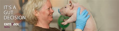 Enterisol® Ileitis Oral Swine Vaccine From Boehringer Ingelheim