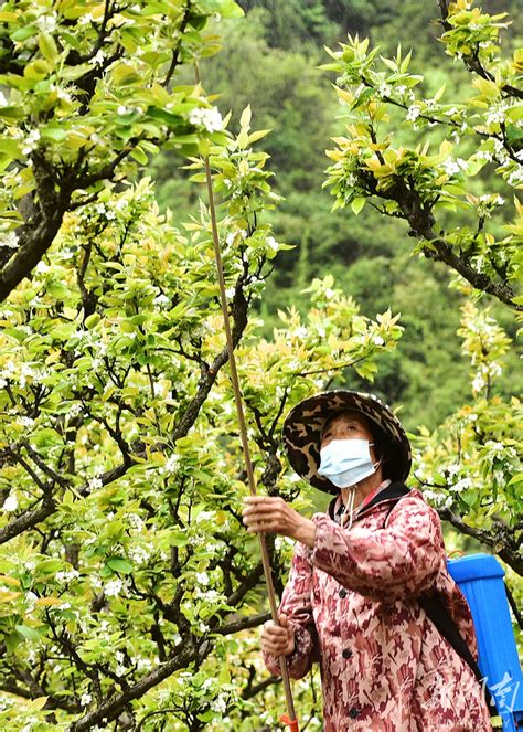 春耕春管季 村民农作忙 资讯 新湖南