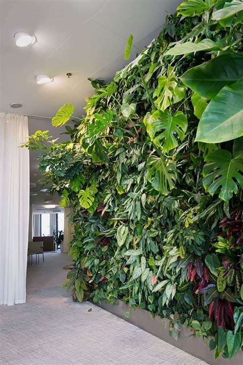 Indoor Garden Design Ideas - 10 Great options - Indoor Gardening