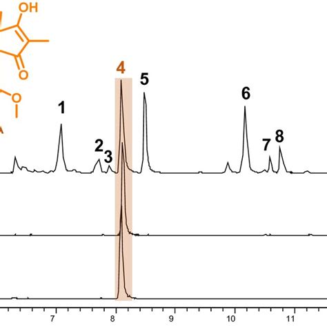 Hplc Profiles Of Wild Type And Mutants With Gene Knockout For Scla And