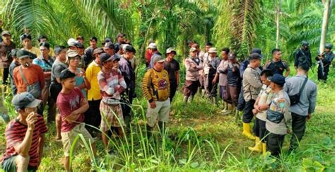 Menkopolhukam Diminta Tengahi Konflik Lahan Antara Petani Vs Pt Ddp