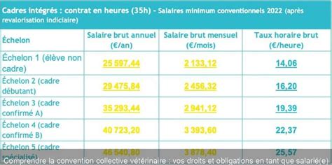 Comprendre la convention collective vétérinaire vos droits et