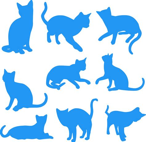 svg svg svg silh