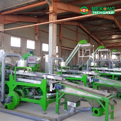 Cashew Machine Automatic Cashew Processing Plant Cashew Machine
