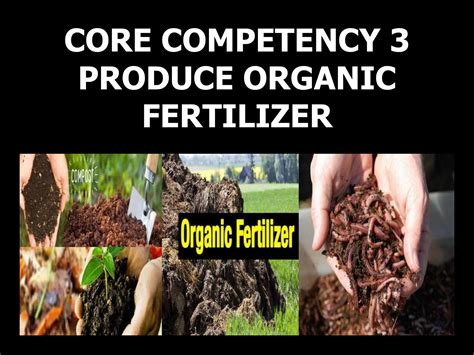 CORE COMPETENCY 3 PRODUCE ORGANIC FERTILIZER.pptx