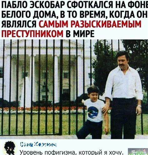 Эскобар | Пикабу