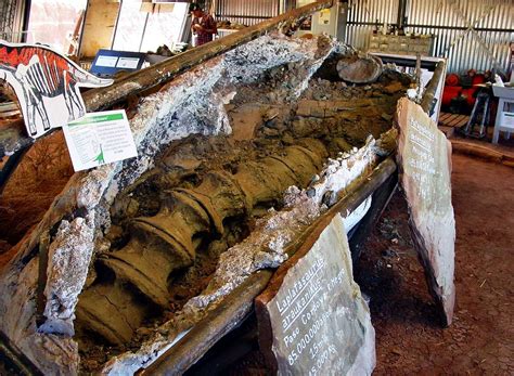 Патагония | Серия 'Популярные места залегания останков динозавров ...