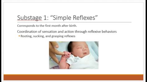 According To Piaget A Stage-five Sensorimotor Baby Is Lik on Sale ...