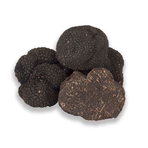 Tartufo Nero Pregiato Tuber Melanosporum Vittadini