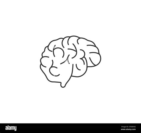 Brain Human Brain Icon Vector Illustration Stock Vector Image Art