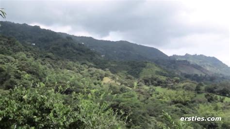 Ersties Hot Brunette Gets Off With A Dildo On The Couch