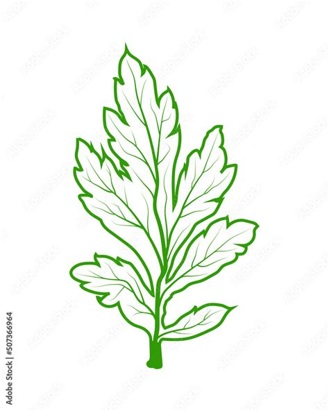 leaf veins texture. green leaf veins vector illustration. silhouettes, texture leaf. Stock ...