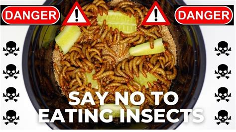 Petition · DANGER: Say No To Eating Insects. - Singapore · Change.org