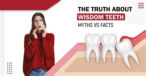 The Truth About Wisdom Teeth Myths Vs Facts