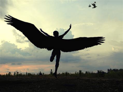 Wallpaper Sky Wings Angel Silhouette Morning Nikon Beak Fly