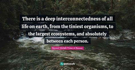 There Is A Deep Interconnectedness Of All Life On Earth From The Tini