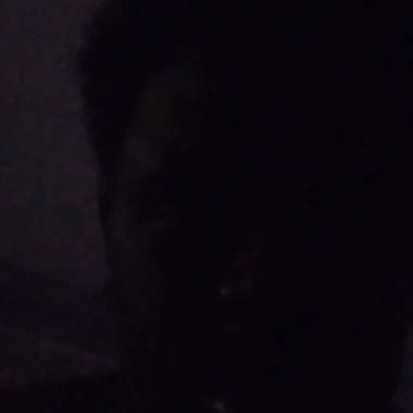 Gud Dick Sucka American Blowjob Blowjob Porn Xhamster