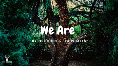 Jo Cohen Sex Whales We Are Slowed Youtube
