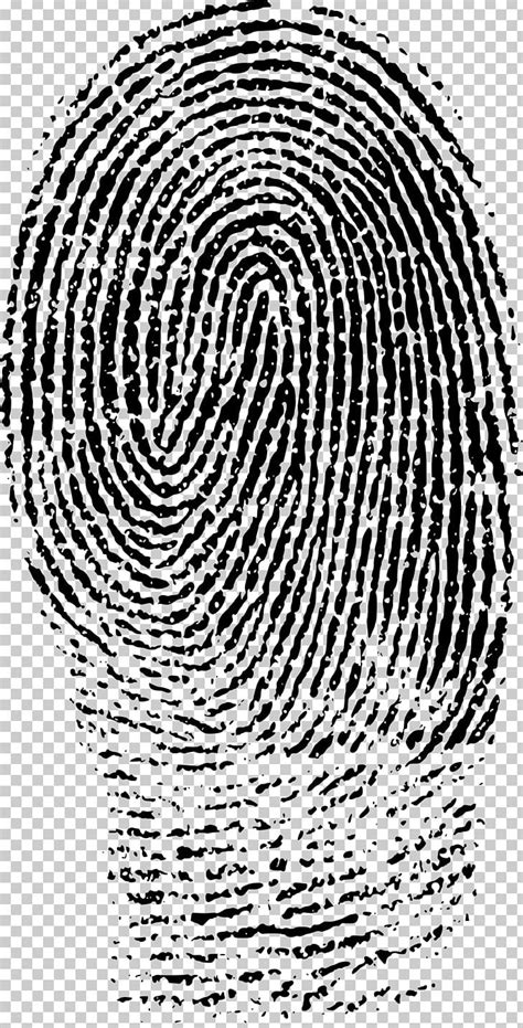 Fingerprint Evidence Forensic Science Crime Scene PNG, Clipart, Area ...