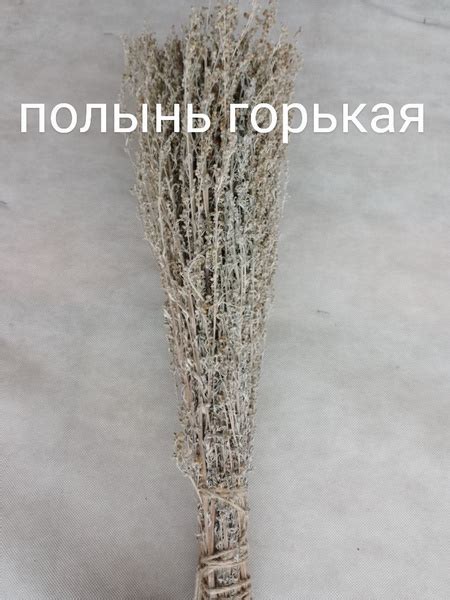 Полынь Горькая - Веник для бани, купить в интернет-магазине OZON с ...