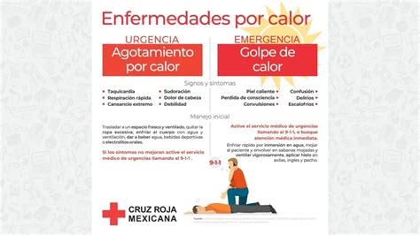 Enfermedades Por Calor Universidades