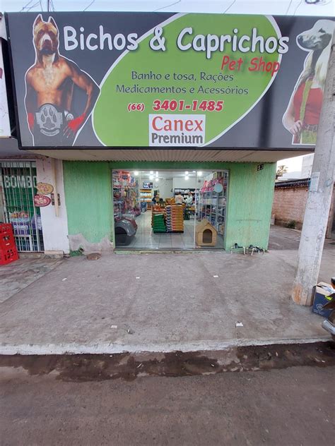 Bichos E Caprichos Pet Shop - Bichos... - Bichos e Caprichos Pet Shop - Hotel Férias do Dono