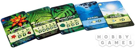 Амазония | Купить настольную игру в магазинах Hobby Games
