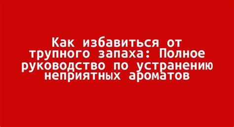 Как избавиться от трупного запаха: Полное руководство по устранению ...