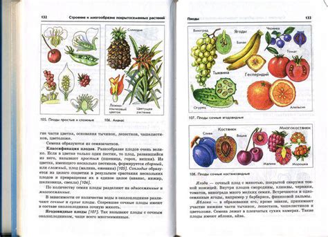 Биология 6 Класс Учебник Пасечник - filterprogrammy