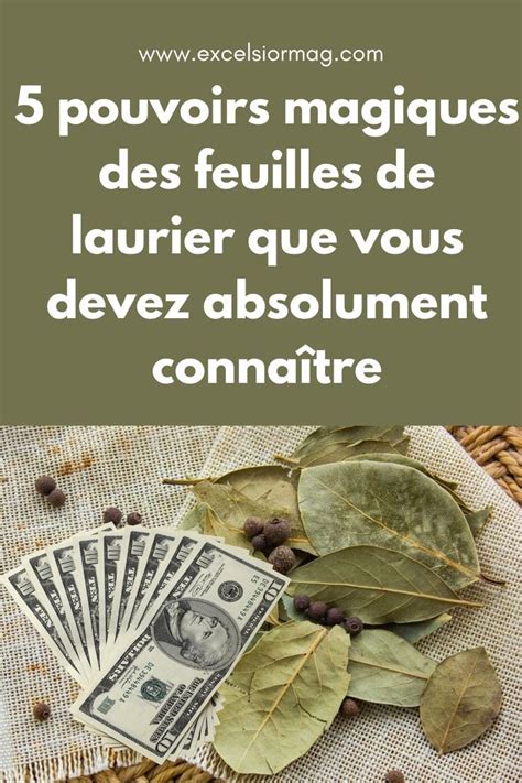 5 Pouvoirs Magiques Des Feuilles De Laurier Que Vous Devez Absolument