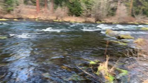 Wizard Falls Fish Hatchery Piping Releasing Chinook Salmon Metolius