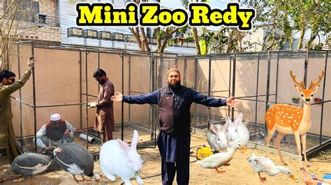 My 31st Vlog New Cage Built For Our Pets Hum Na Apny Pets Ka Liay