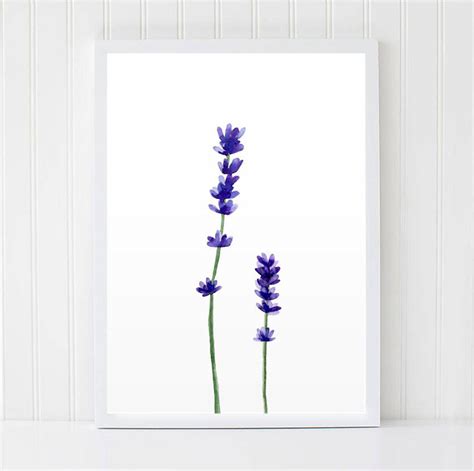 Lavendel Druck Aquarell Lavendel Lila Blume Feld Natur Etsy