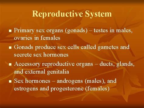 Reproductive System N N Primary Sex Organs Gonads