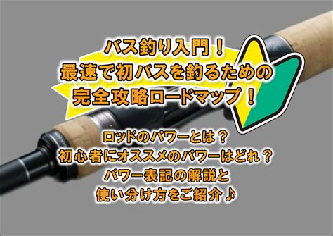 バス釣り入門！ロッドのパワーとは？初心者にオススメのパワーはどれ？パワー表記の解説と使い分け方をご紹介♪ Blink