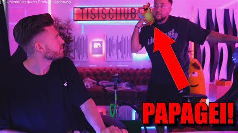 Endlich Der Papagei Ist Im Studio Tisi Schubech Stream Highlights