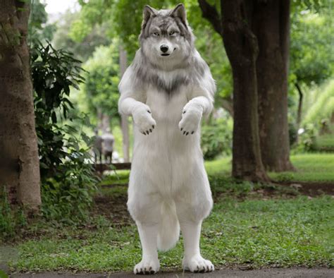 Realistic Wolf Suit Costume