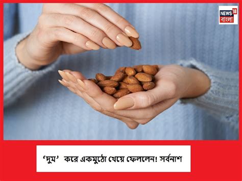 Healthy Lifestyle মুঠো মুঠো বাদাম খেয়ে বিপদ ডেকে আনবেন না হিতে