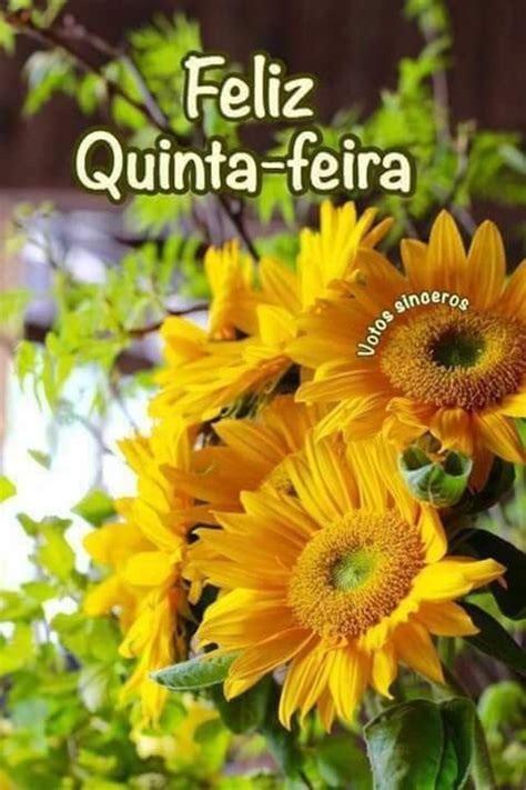 Feriado Quinta Feira 1 De Maio